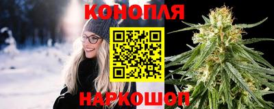 соль ск Будённовск