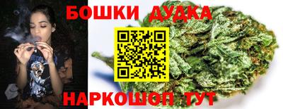 стаф Бузулук